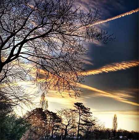 دانلود آهنگ پله شر حمیدرضا بابایی